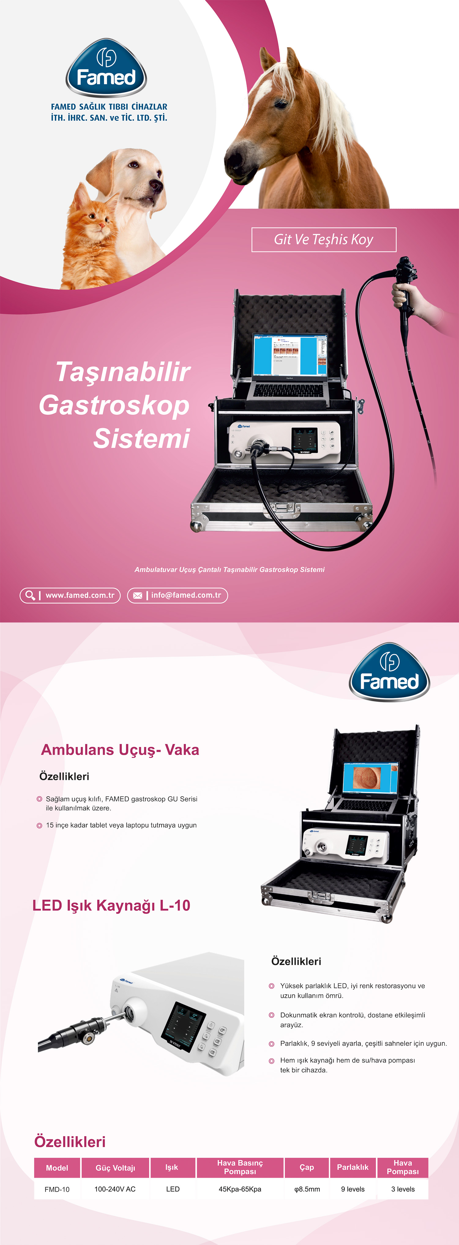 Portable Veterinary Gastroscopy System