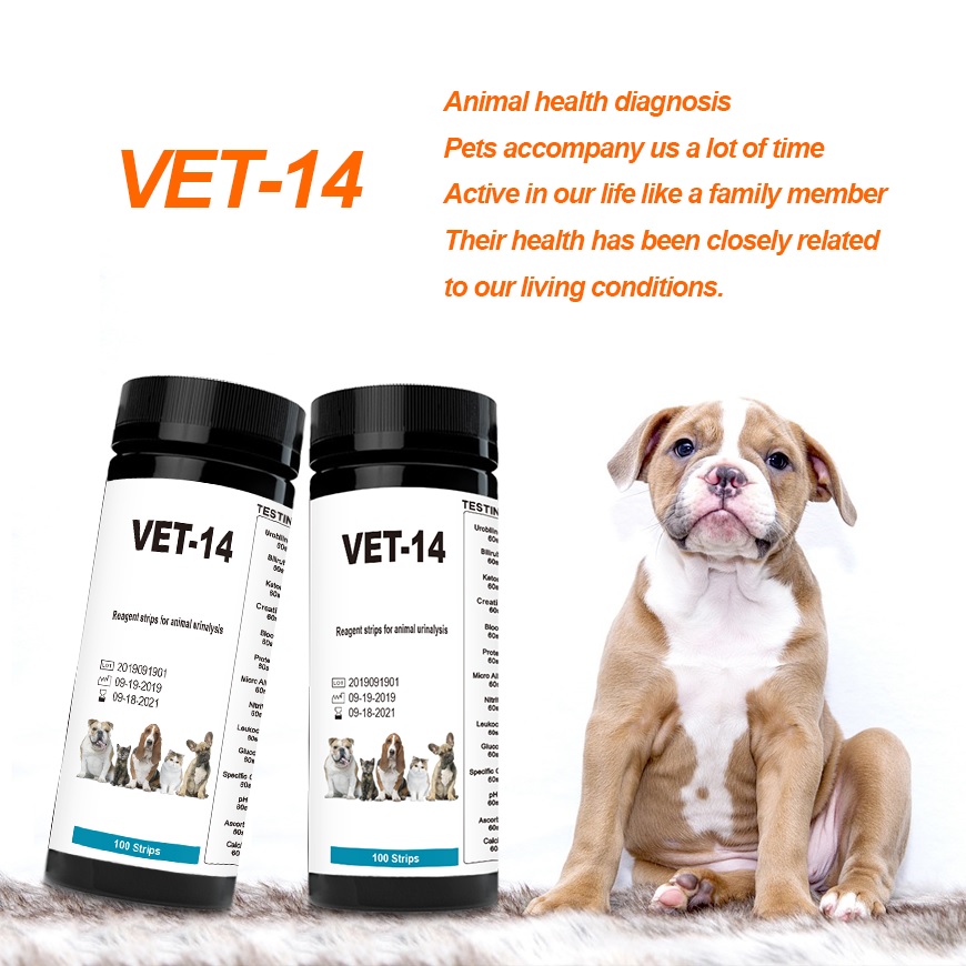 Veterinary Urine Test Strips