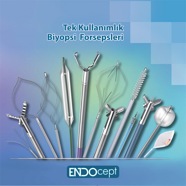 Endoscopy Forceps Products